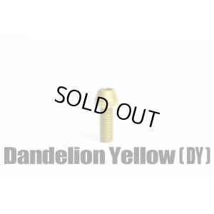 画像7: TRSフロントフォーク周辺（64合金チタンボルト）