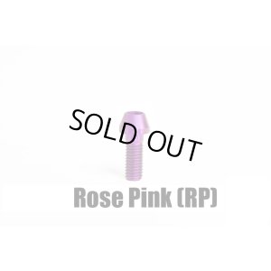 画像8: TRSフロントフォーク周辺（64合金チタンボルト）