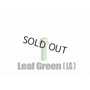 画像5: TRSフロントフォーク周辺（64合金チタンボルト）