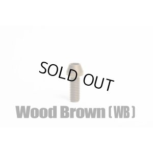 画像6: TRSフロントフォーク周辺（64合金チタンボルト）